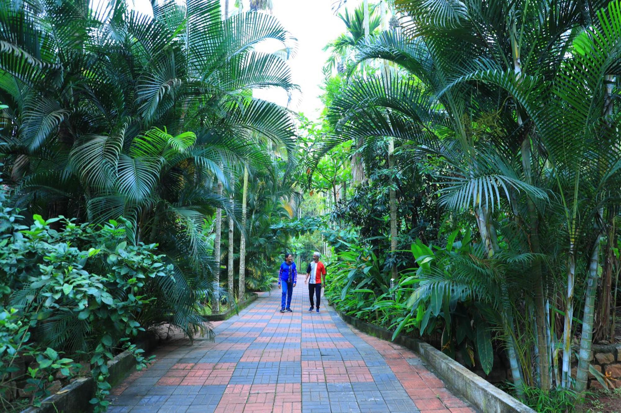 Parampara Resort & Spa, Coorg Kushālnagar Eksteriør billede